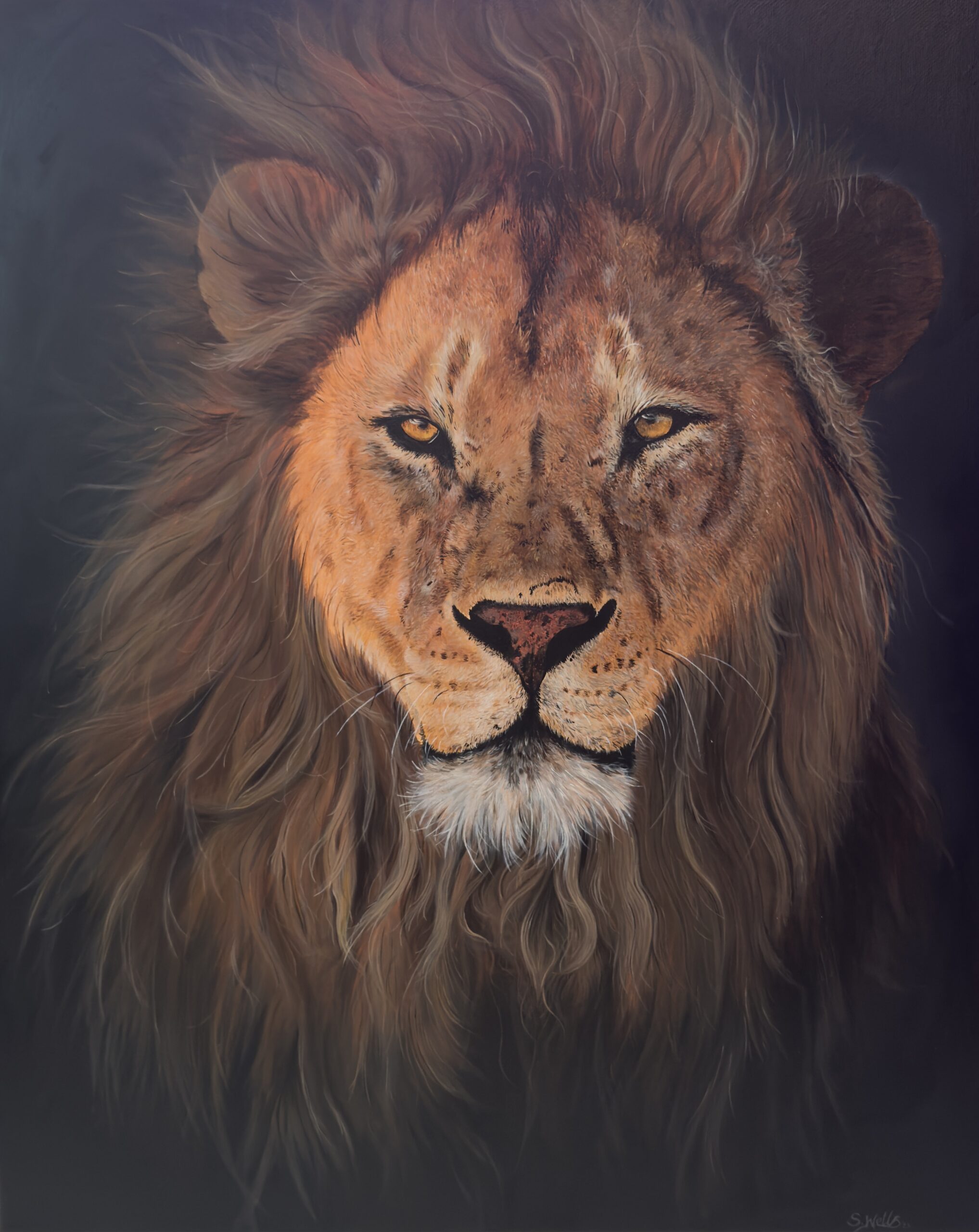 King of the Pride