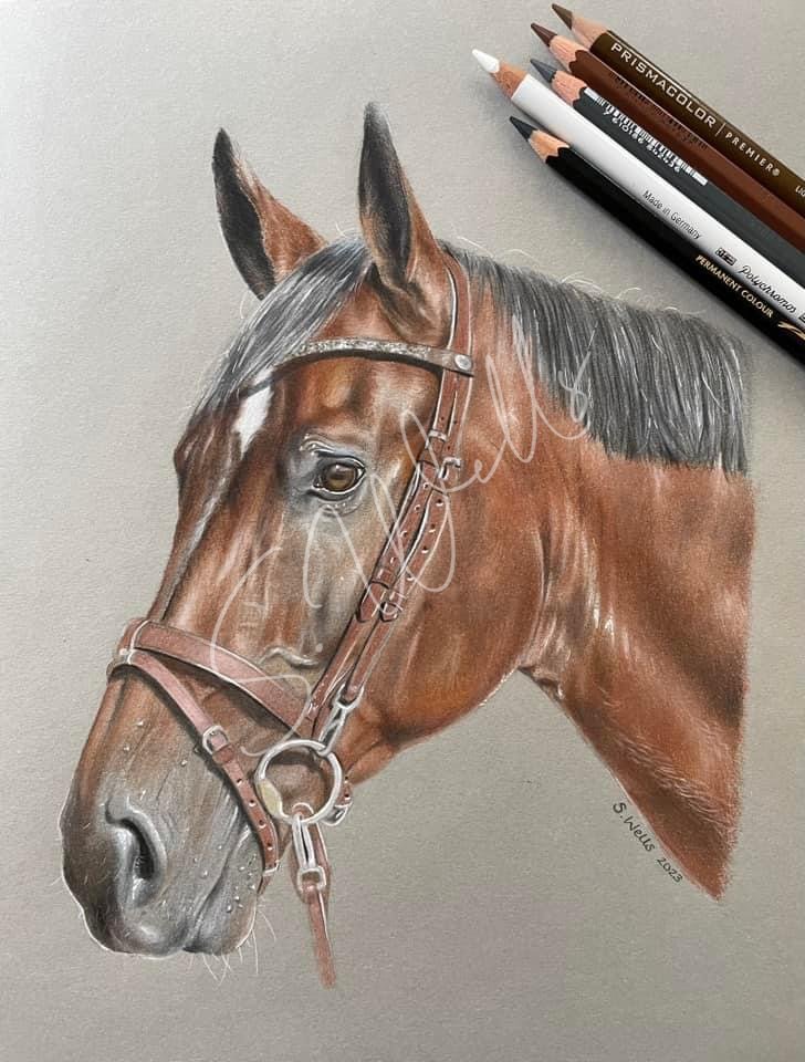Horse Portrait
